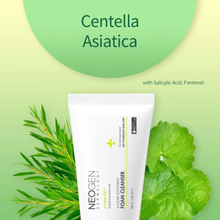 NEOGEN Dermalogy A-Clear Aid Soothing Foam Cleanser, 100 ml