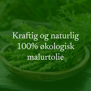 Malurtolie (wormwood), økologisk 30 ml
