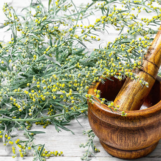 Malurtolie (wormwood), økologisk 30 ml