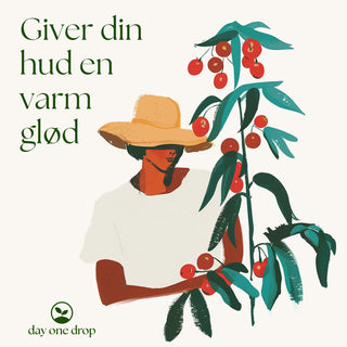 Hybenkerneolie, økologisk 30 ml