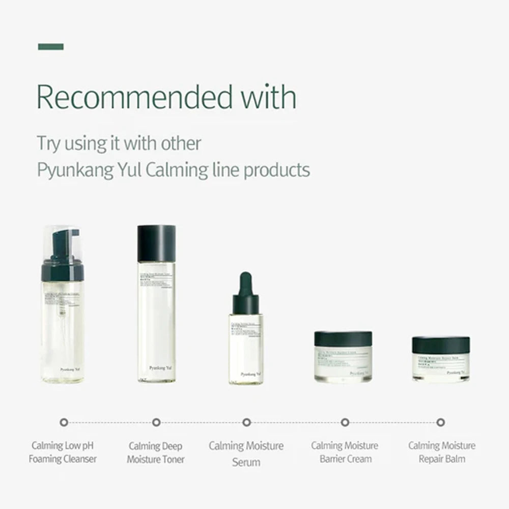 Pyunkang Yul Calming Acne Cleansing Foam, 100 ml
