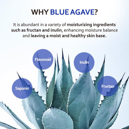 Real Barrier T'else Blue Agave Hyaluronic Acid Mask Sæt, 5 masker