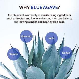 Real Barrier T'else Blue Agave Hyaluronic Acid Mask, 1 sheet