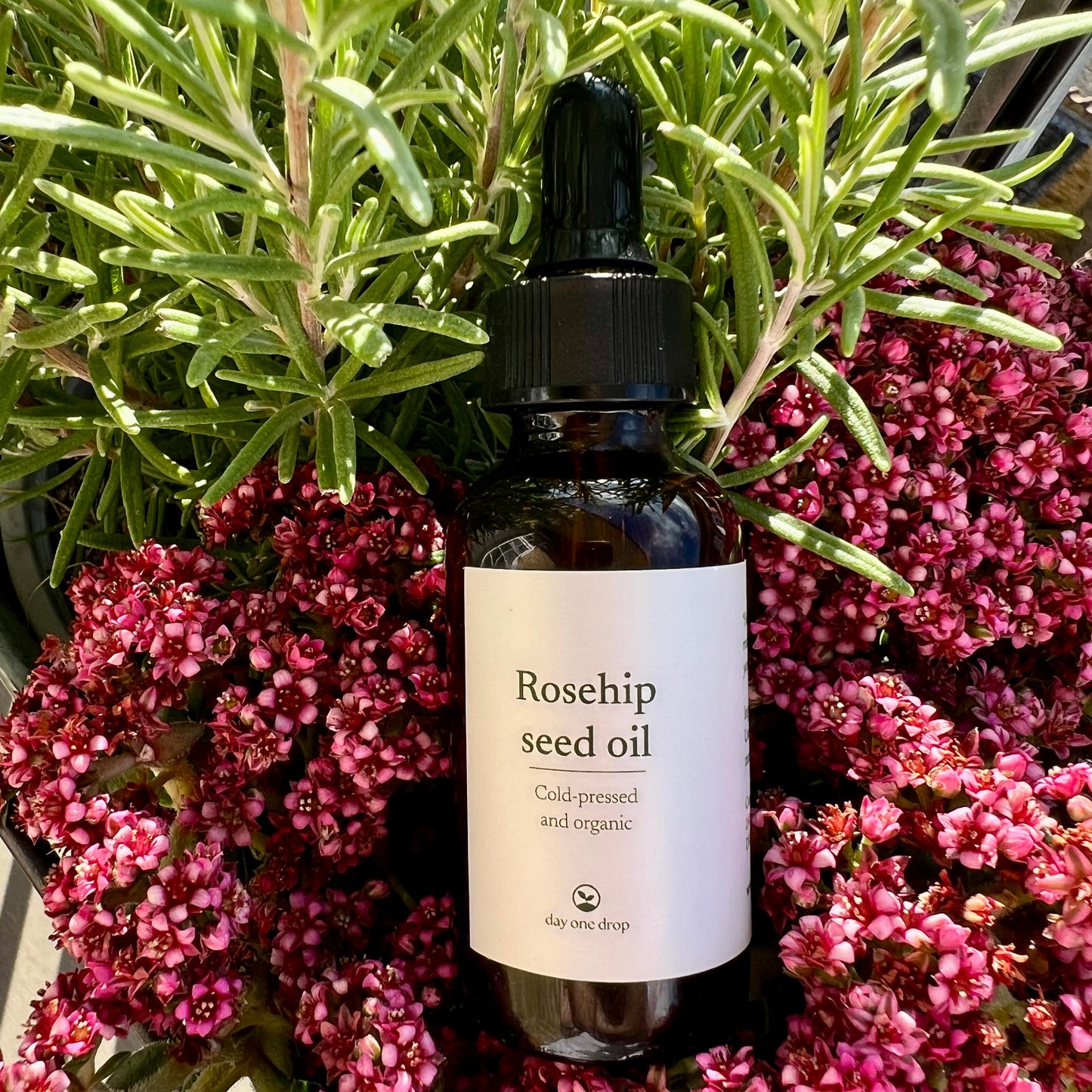 Hybenkerneolie, økologisk 30 ml