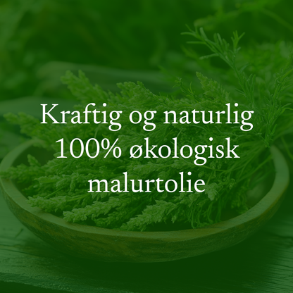 Malurtolie (wormwood), økologisk 30 ml