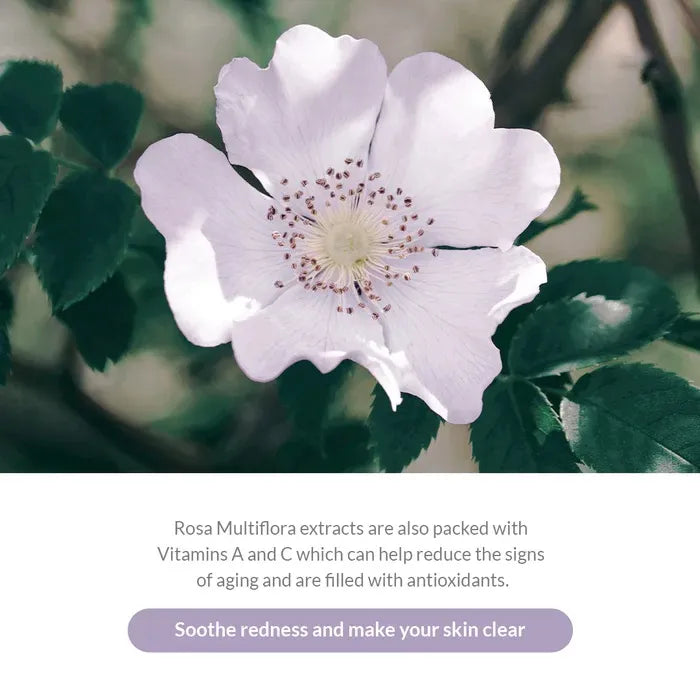 Premium Rosa Modeling Mask sæt, 25g x 5 stk