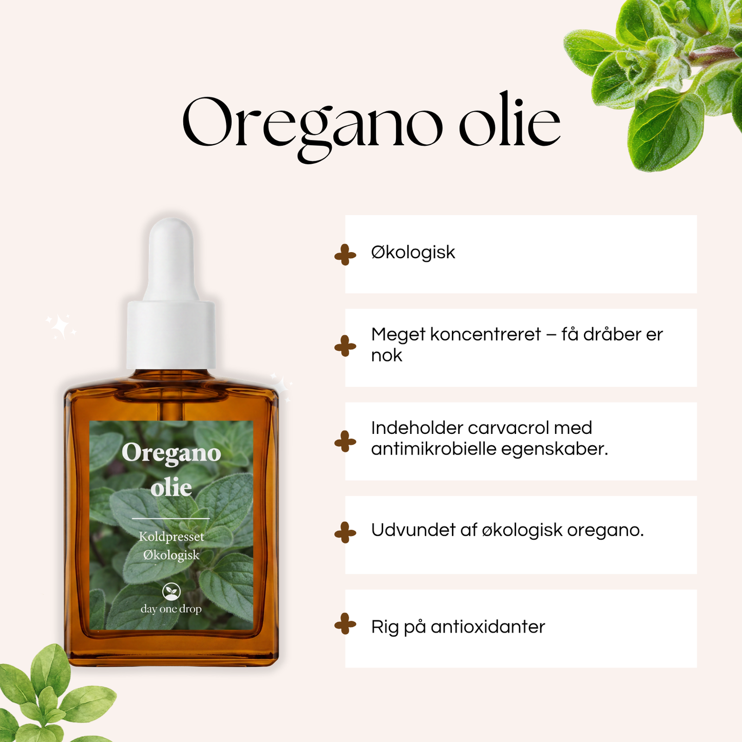 Oregano olie