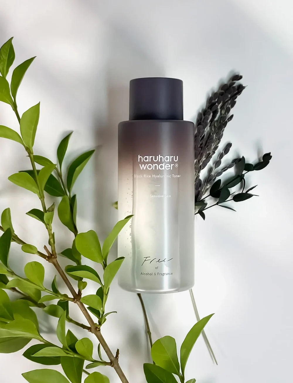 Black Rice Hyaluronic Toner Fragrance Free, 150 ml