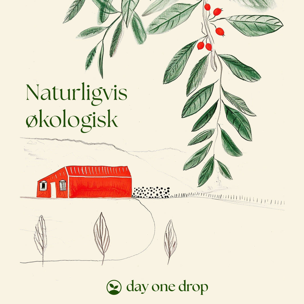 Hybenkerneolie, økologisk 30 ml