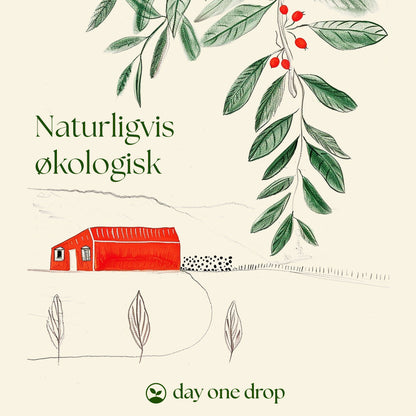 Hybenkerneolie, økologisk 30 ml